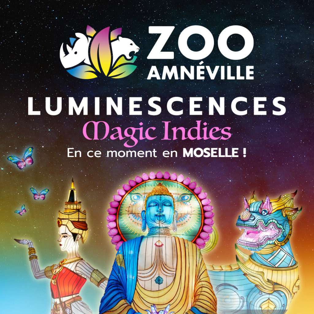affiche Luminescences